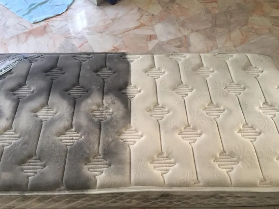 5 Questions About Sofa Cleaning Services