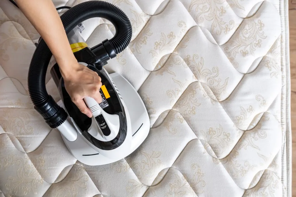 cleaning services